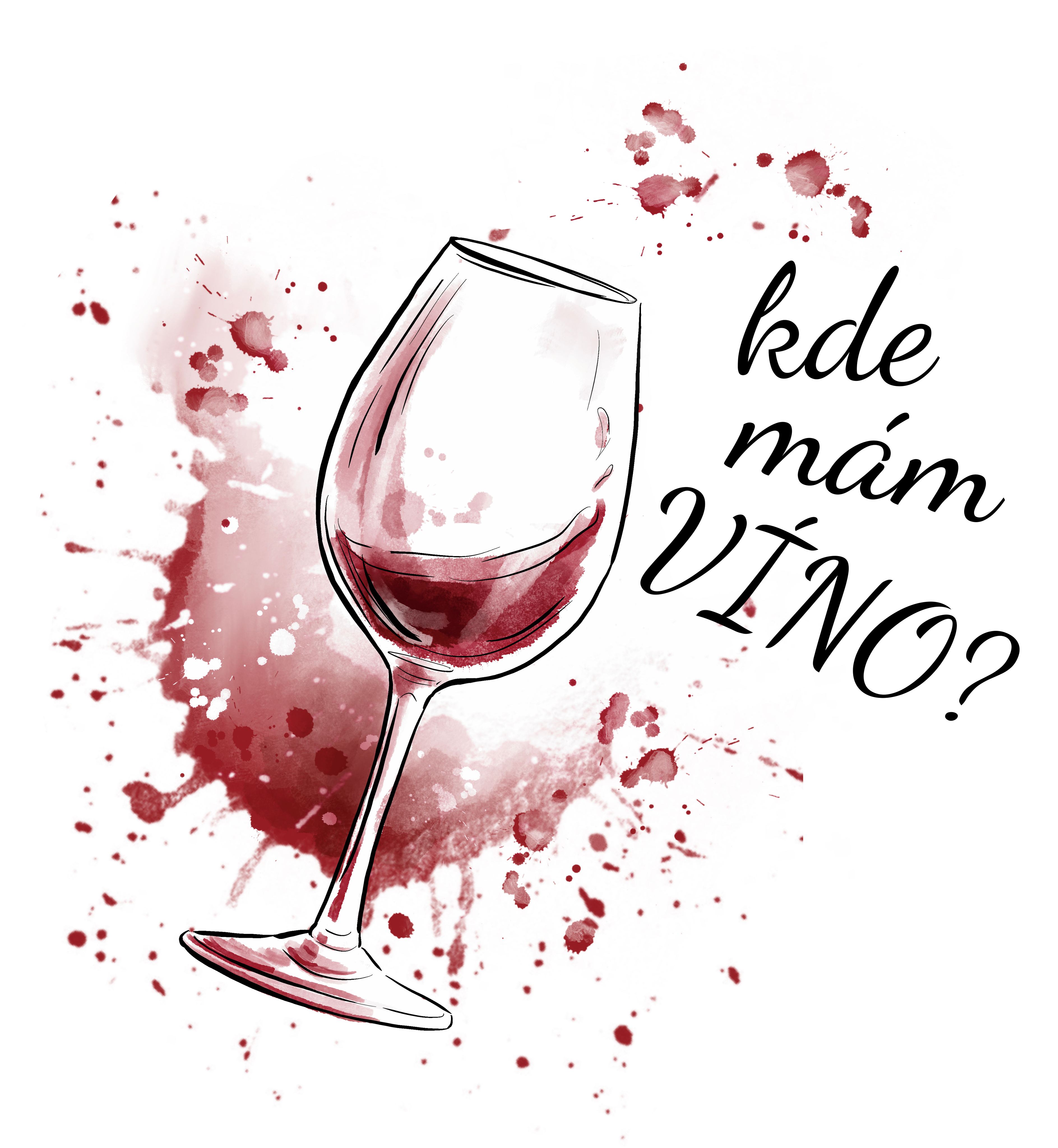 Plecháček Kde mám víno?