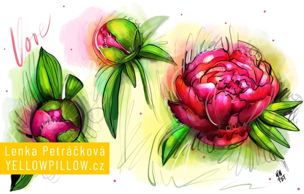 Termoplechovka Pivoňky